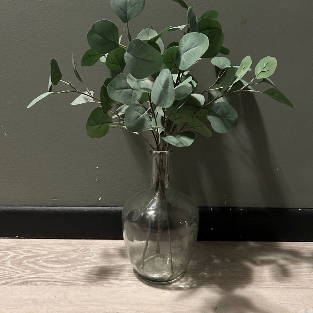 Modern Clear Glass Jug Vase & Artificial Silver Dollar Eucalyptus